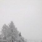 image1.jpeg