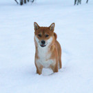 image2.jpeg