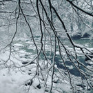 IMG_20190105_155804_690.jpg