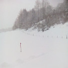 IMG_20190105_161753.jpg