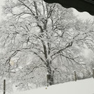 IMG_20190105_162539.jpg