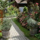 Rankweil GH Mohren G  _2_.JPG