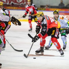 file73icxta83vs12k9xk51d.jpg