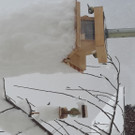 20190106_084644.jpg