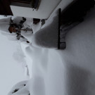 20190106_082306.jpg