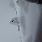 20190106_082310.jpg