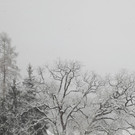 IMG-20190105-WA0006.jpeg