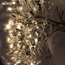 IMG_0271.JPG