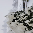 20190105_145601.jpg
