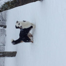 image17.jpeg
