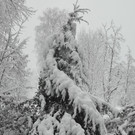 IMG_20190105_161704.jpg