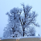 20190105_163759.jpg