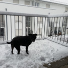 20190105_140741.jpg