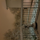 20190105_182022.jpg