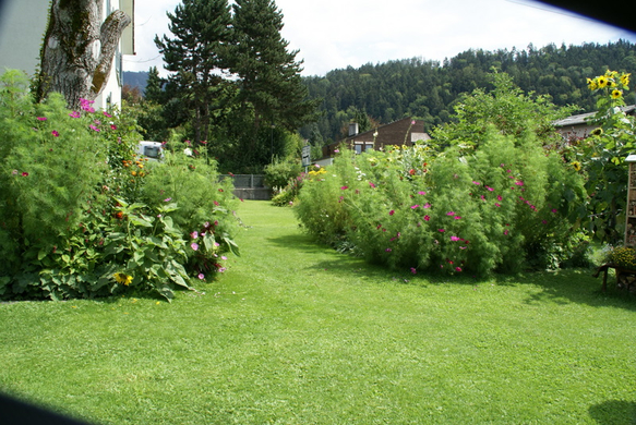 Rankweil GH Mohren G  _8_.JPG