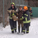 Rehe verirrten sich auf Tennisplatz