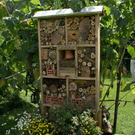 Rankweil GH Mohren G  _9_.JPG