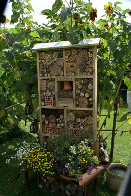 Rankweil GH Mohren G  _9_.JPG