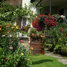 Rankweil GH Mohren G  _10_.JPG