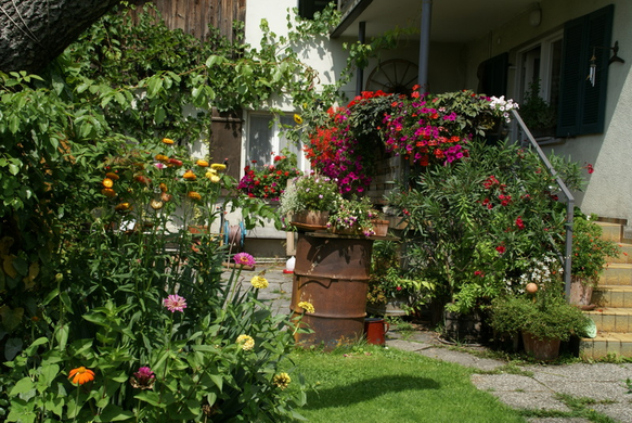 Rankweil GH Mohren G  _10_.JPG