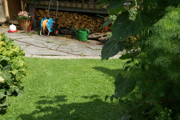 Rankweil GH Mohren G  _11_.JPG