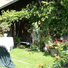 Rankweil GH Mohren G  _12_.JPG