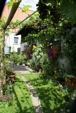 Rankweil GH Mohren G  _13_.JPG