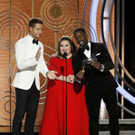 76th_Annual_Golden_Globe_Awards_-_Show_47064.jpg