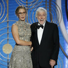 76th_Annual_Golden_Globe_Awards_-_Show_39915.jpg