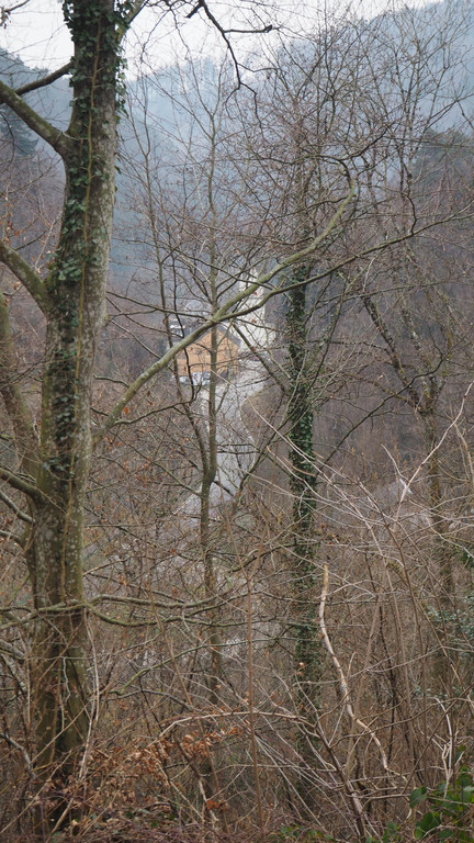 P2243252.JPG