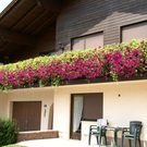 Rankweil Hauser G  _3_.JPG