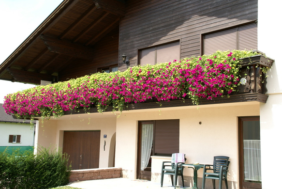 Rankweil Hauser G  _3_.JPG