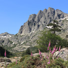 Restonica_02.JPG