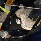 Beamte finden Hundewelpen