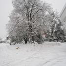 IMG_5138.JPG