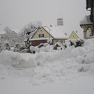 IMG_5140.JPG