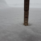 20190106_084713.jpg