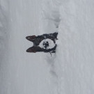 20190106_100342.jpg