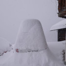 IMG-20190106-WA0004.jpg