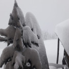 IMG-20190106-WA0005.jpg