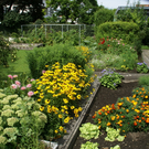 Rankweil Mathis G  _5_.JPG