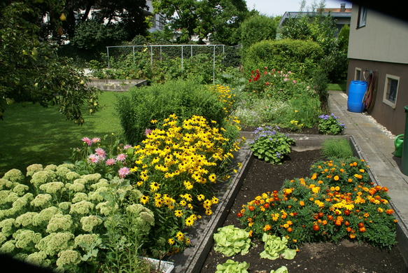 Rankweil Mathis G  _5_.JPG