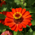 Rankweil Mathis G  _6_.JPG