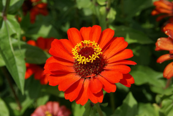 Rankweil Mathis G  _6_.JPG