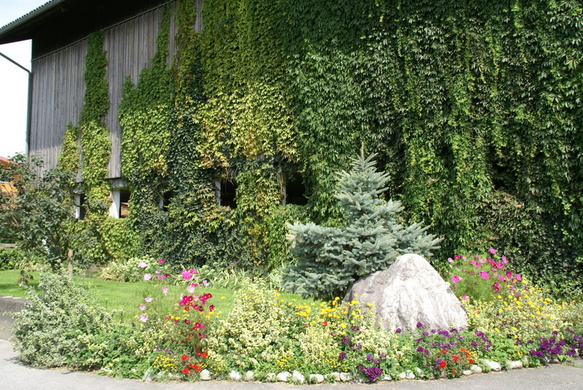 Rankweil M__tzler G .JPG