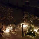 schneegrillen.jpg