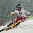 Austria_Alpine_Skiing_World_Cup_05486.jpg