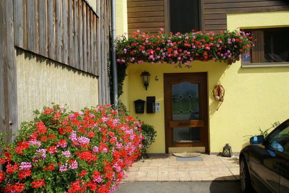 Rankweil M__tzler G  _4_.JPG