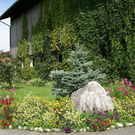 Rankweil M__tzler G  _5_.JPG