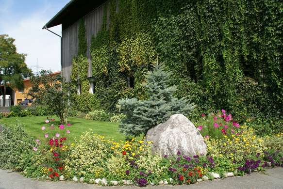 Rankweil M__tzler G  _5_.JPG